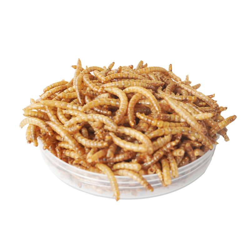 Camilan Protein Tinggi Makanan - Food Snacks High In Protein ulasan dan harga
